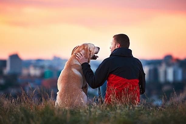 Learn loyalty from dogs