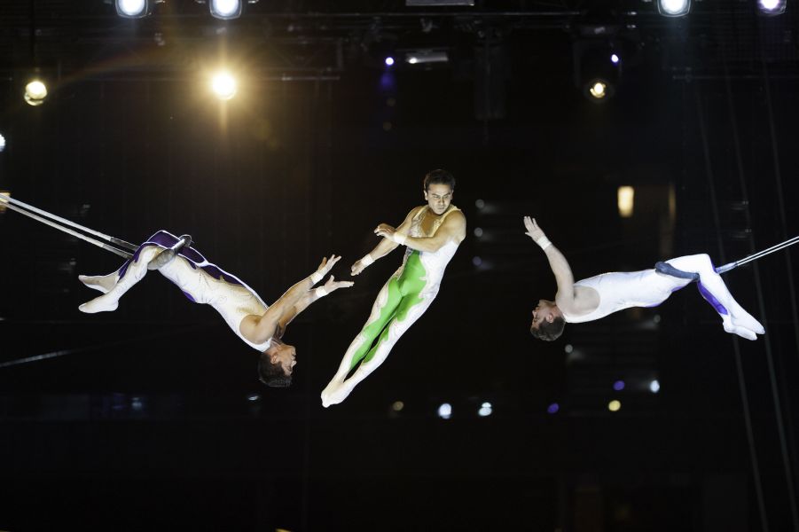 The circus and its painful secrets