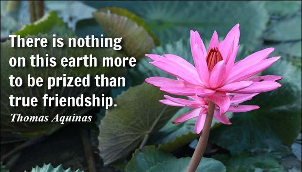 What is friendship?