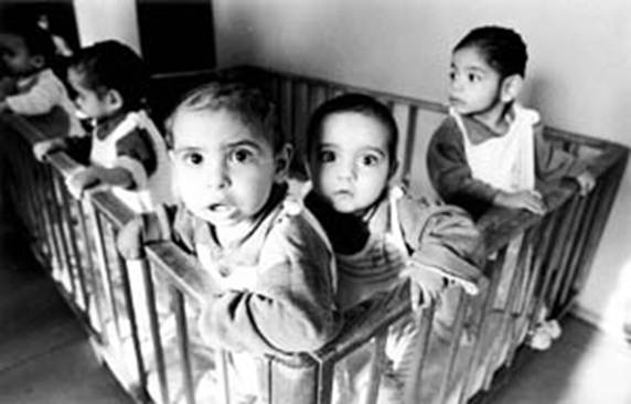 Surrogacy or adoption?