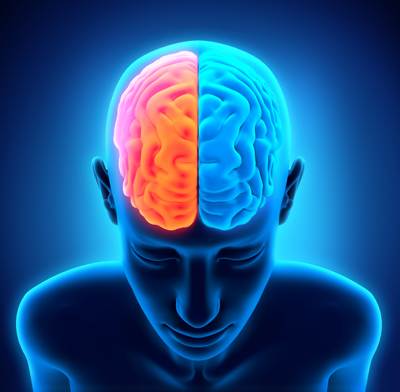 How our brain remembers