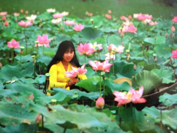 Wonderful Vietnam