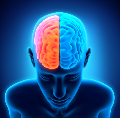 How our brain remembers?
