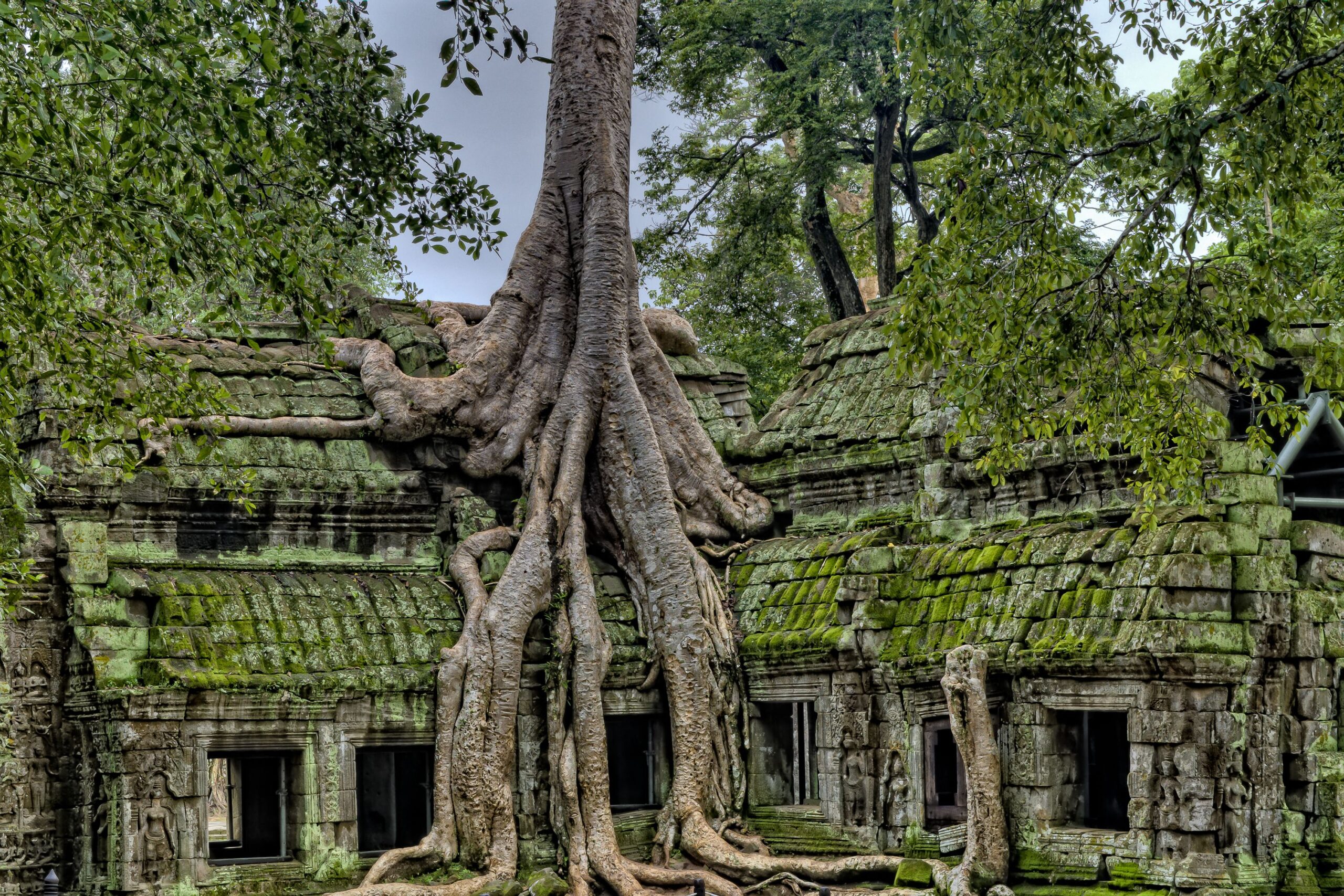 A journey through Cambodia, China, India and Africa